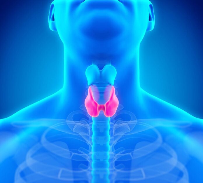 10 Symptoms of hyperthyroidism You Should Never Ignore