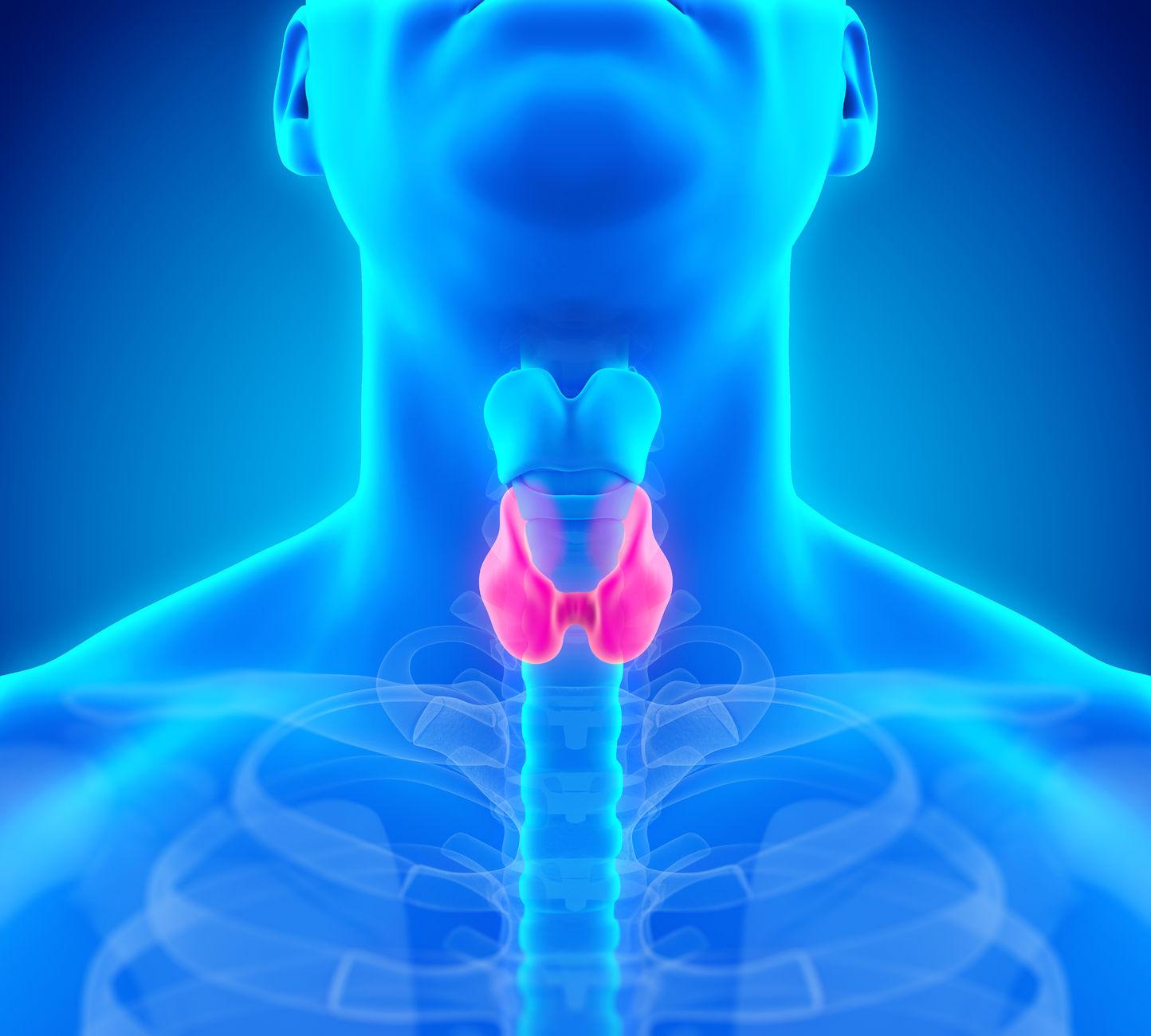 10 Symptoms of hyperthyroidism You Should Never Ignore