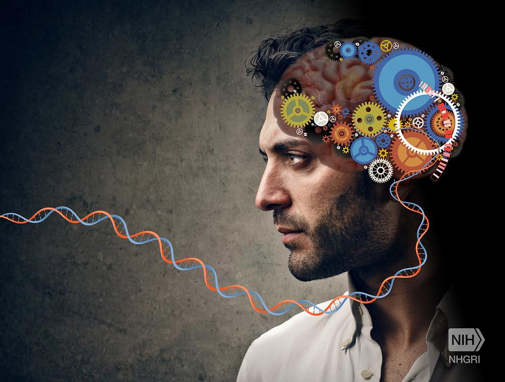 10 Symptoms of schizophrenia You Should Never Ignore