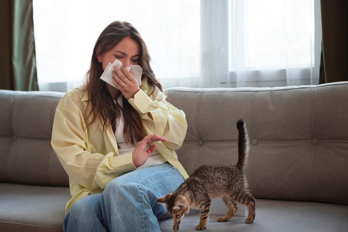 Add disorder symptoms in adults hilogeneration