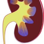 10 Symptoms of chronic kidney disease You Should Never Ignore