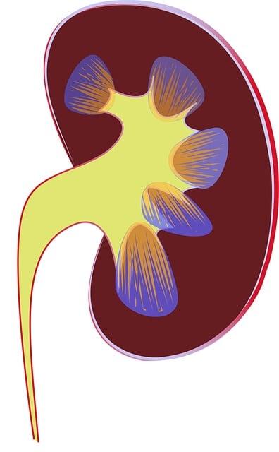 10 Symptoms of chronic kidney disease You Should Never Ignore