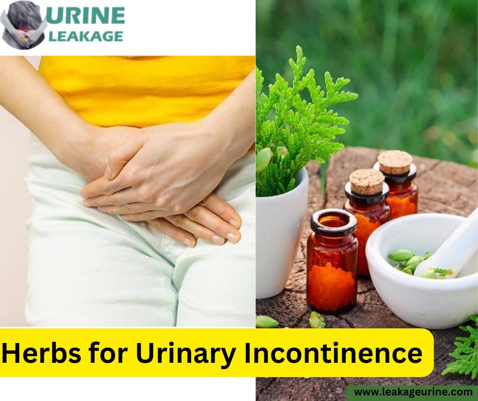 10 Symptoms of overactive bladder You Should Never Ignore