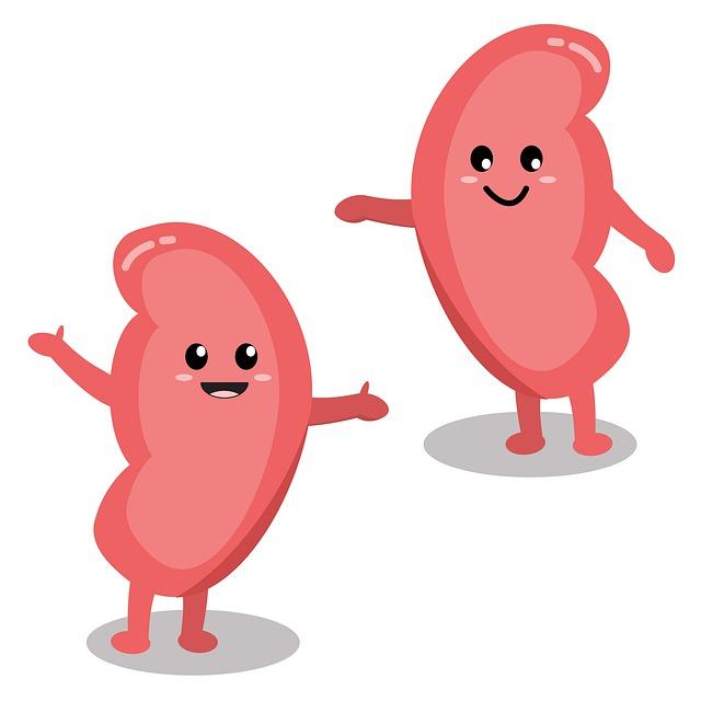 10 Symptoms of autosomal dominant polycystic kidney disease You Should Never Ignore