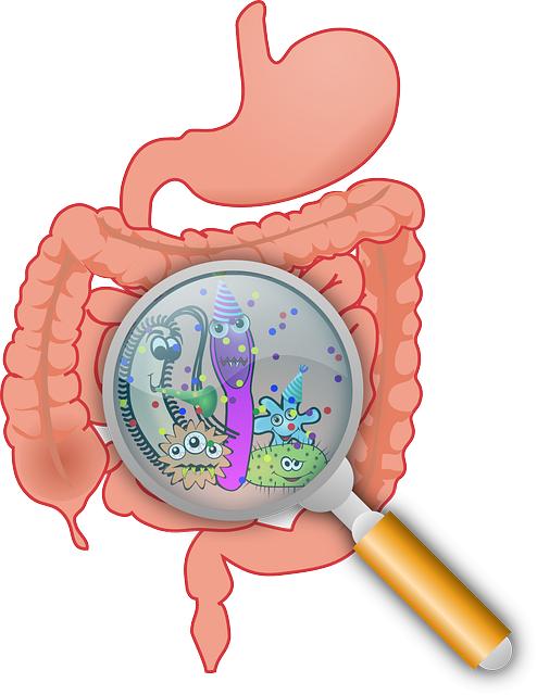 Understanding the Common Causes of Gastrointestinal Diseases