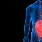 Navigating the Minefield of GI System Disorders: Symptoms, Causes, and Treatment Options