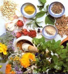 Discover the Best Natural Remedies for Gastrointestinal Pain