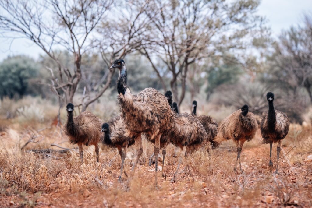 How to Manage Spikes in Blood Sugar After Eating Huffington News