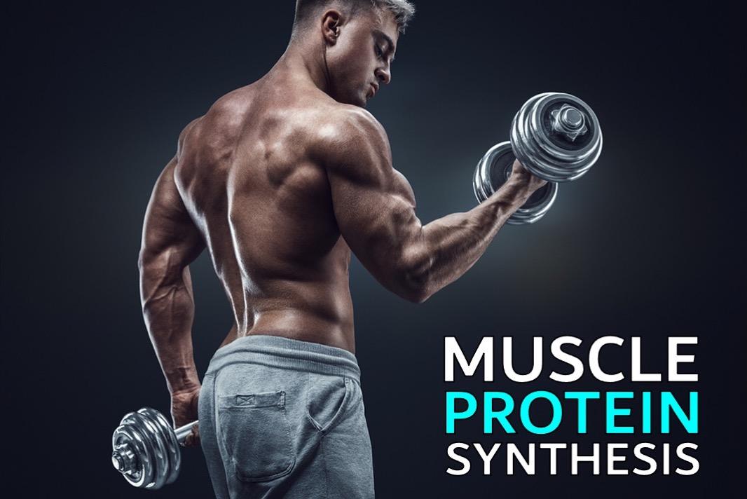 Maximizing Muscle Growth: The Best Protein Sources for Gym Goers