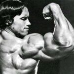 Bulging Biceps: Inside the World of Male Bodybuilders