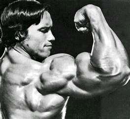 Bulging Biceps: Inside the World of Male Bodybuilders