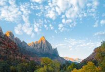 Unleashing the Power of Nature: The Rise of Natural Bodybuilding Unleashing the Power of Nature: The Rise of Natural Bodybuilding