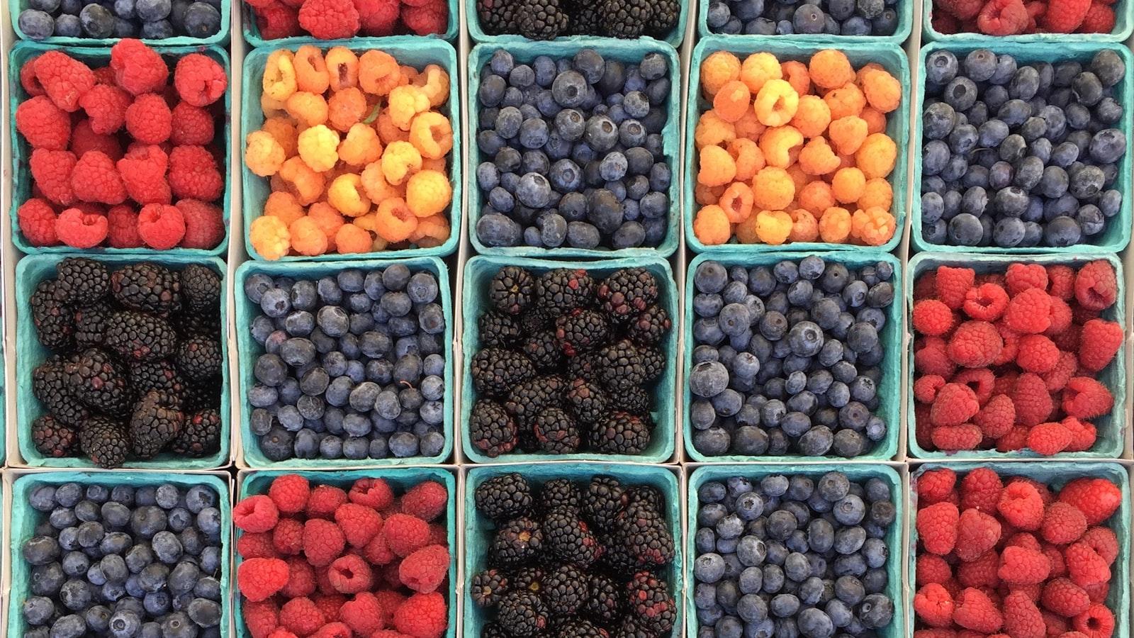 The Importance of Nutrition and Exercise for Aging Adults