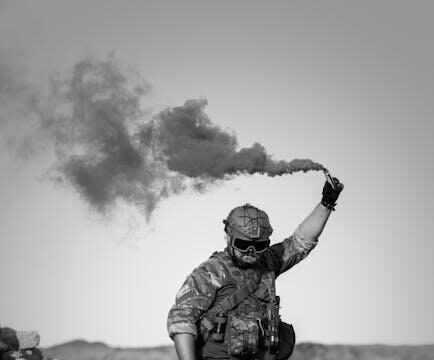 Combatting PTSD: Strategies for military veterans to improve mental health