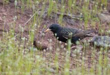 From battlefields to yoga mats: Veterans embracing mindfulness practices From battlefields to yoga mats: Veterans embracing mindfulness practices
