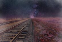 Get Fit and Fabulous: The Best Fitness Plans for Women Get Fit and Fabulous: The Best Fitness Plans for Women