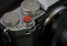 5 Foolproof Ways to Banish Gnats from Your Home 5 Foolproof Ways to Banish Gnats from Your Home