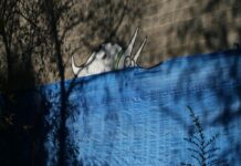 Unlocking the Power of Multisyllabic Words in the Classroom Unlocking the Power of Multisyllabic Words in the Classroom